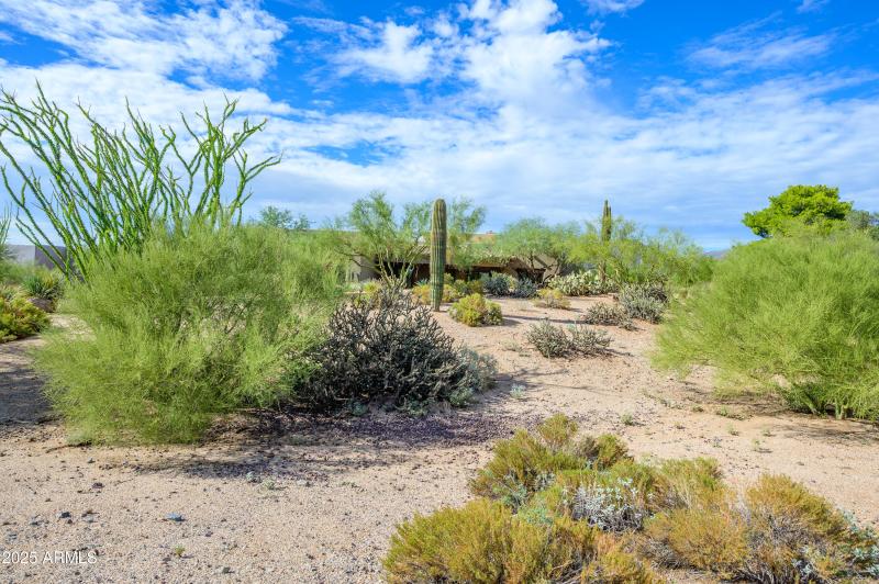 CaveCreek-54