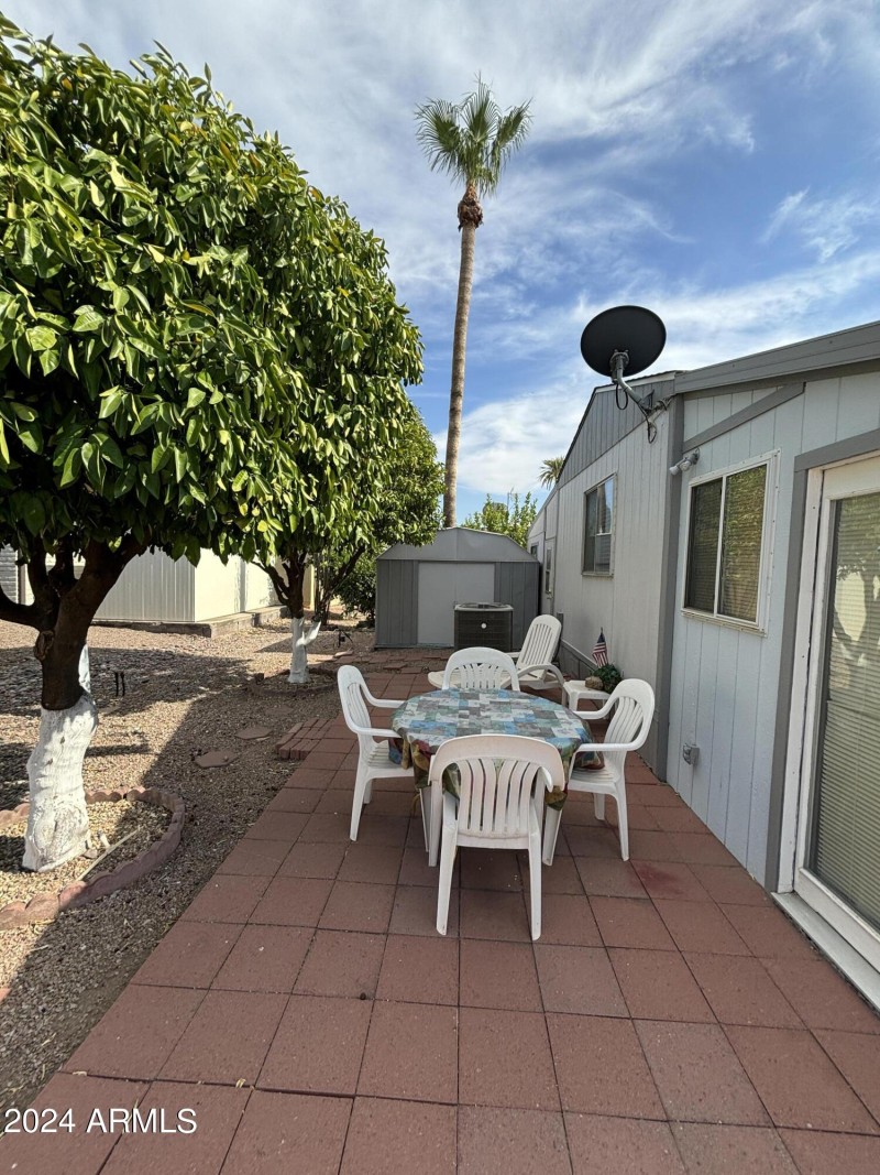 Back patio