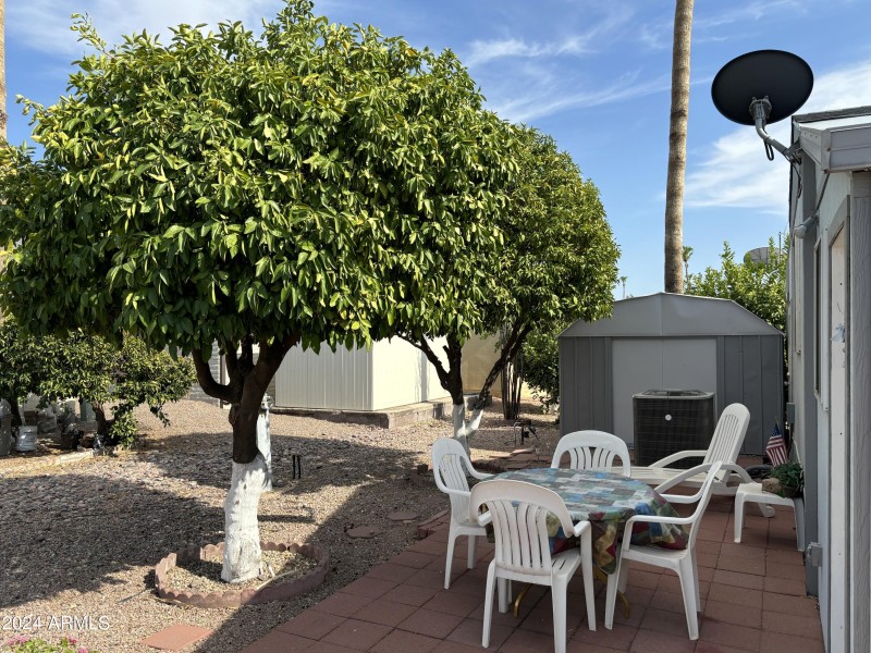 Backyard patio