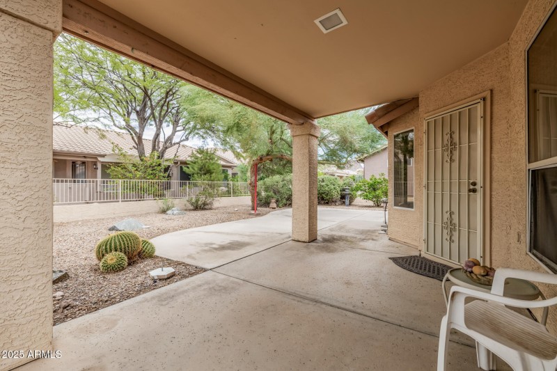 23 Brittle Bush