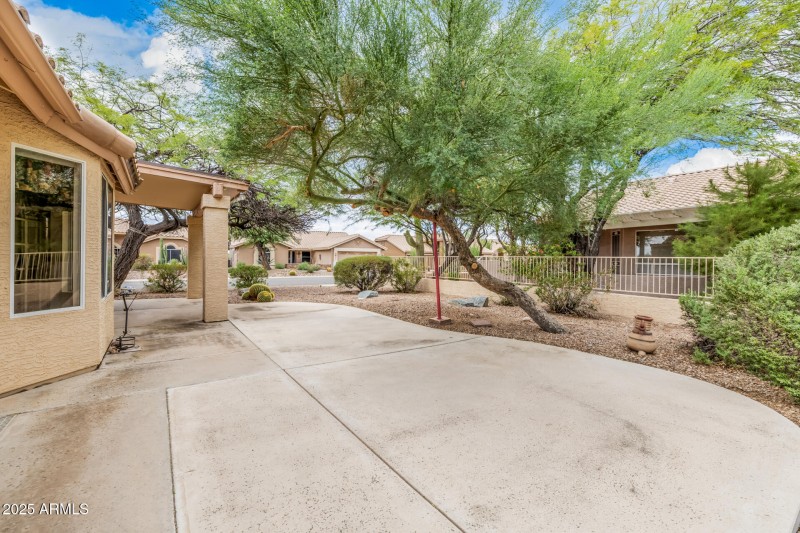 26 Brittle Bush