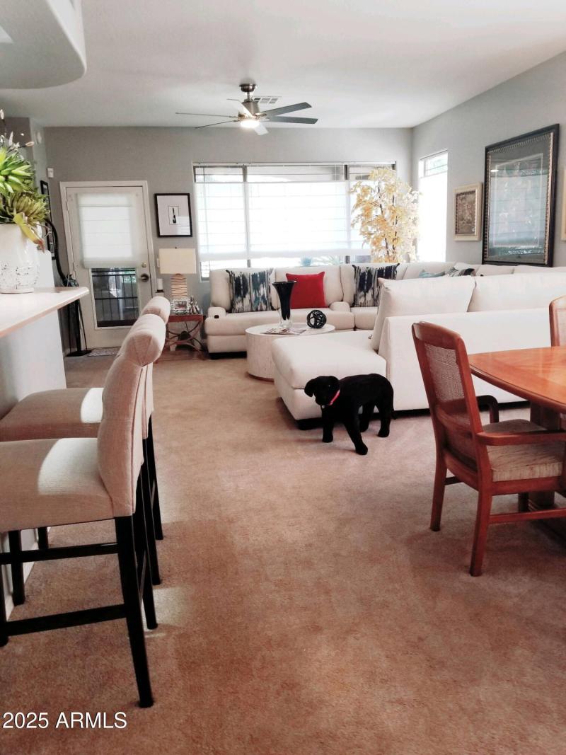 Large Family room
