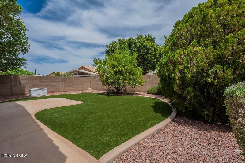 Luxurious North Facing Back Yard