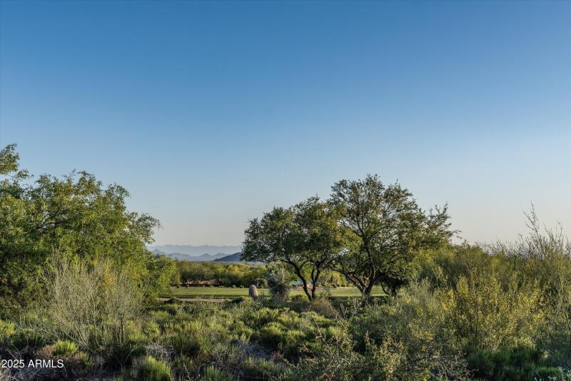 46-10699 E Fernwood Ln (46 of 47)