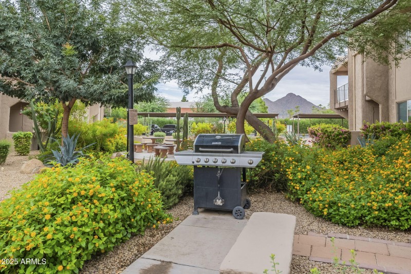 45-web-or-mls-Chaparral-45