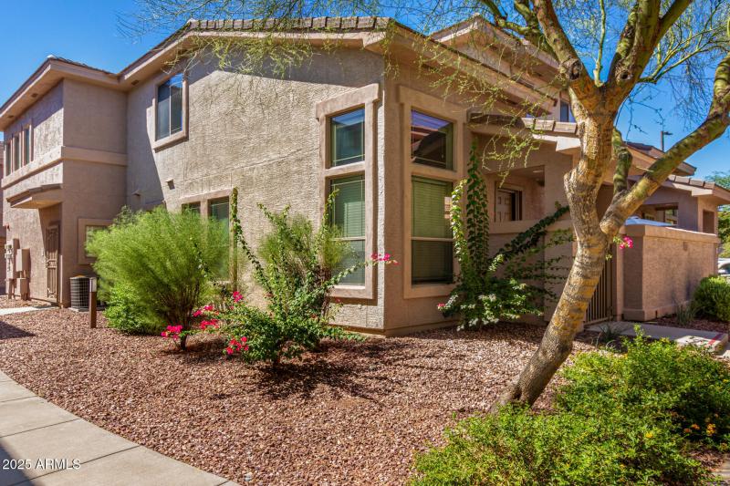 42424 N GAVILAN PEAK PKWY 55206