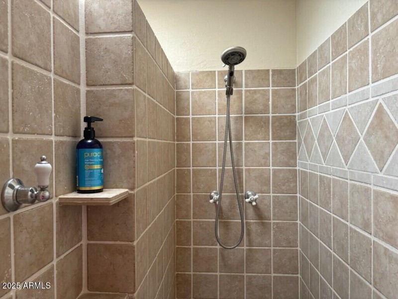 37847 master shower