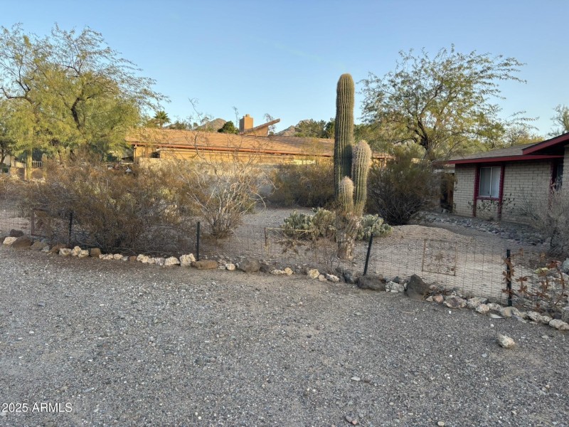Front Yard
