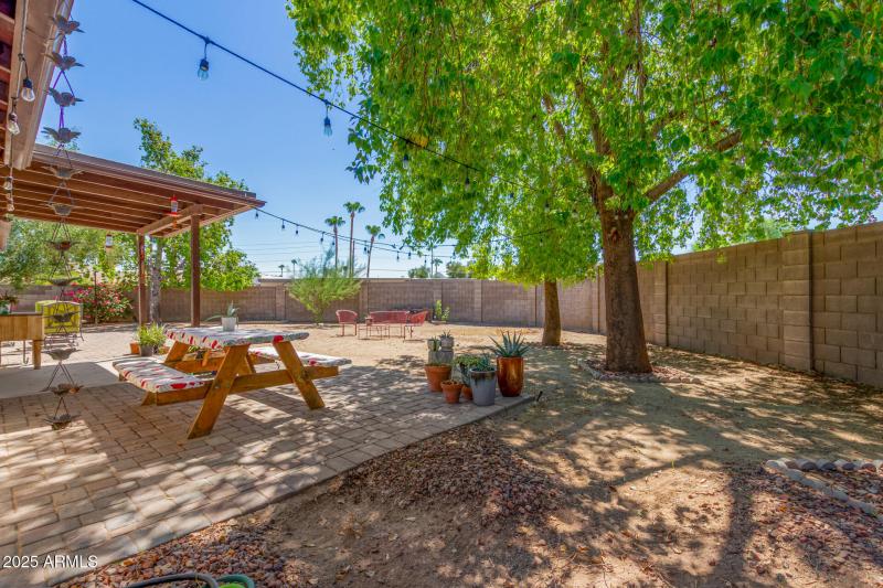 28 - Captain Dreyfus