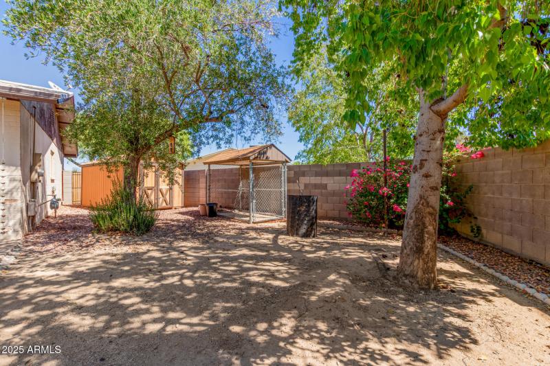 30 - Captain Dreyfus