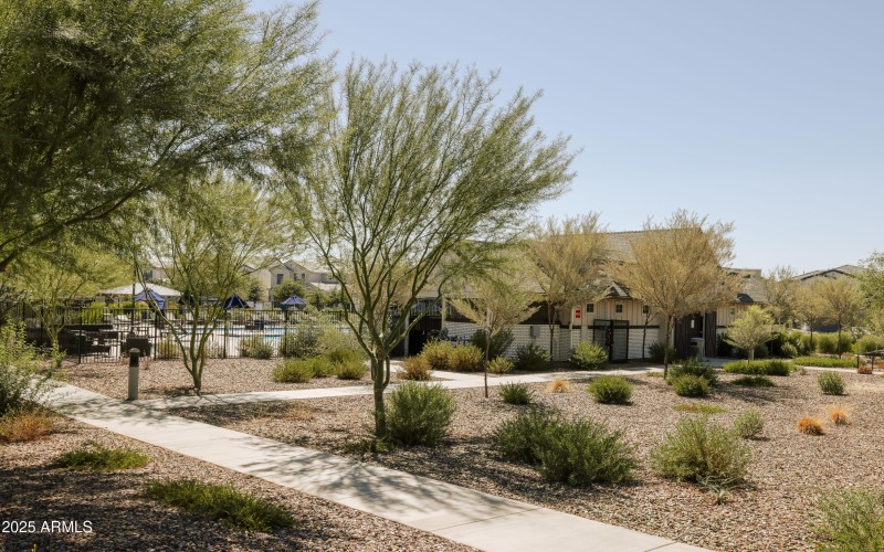 Community_Pool_Photo_2