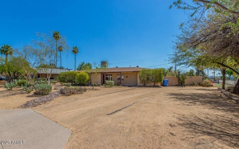 Front Yard