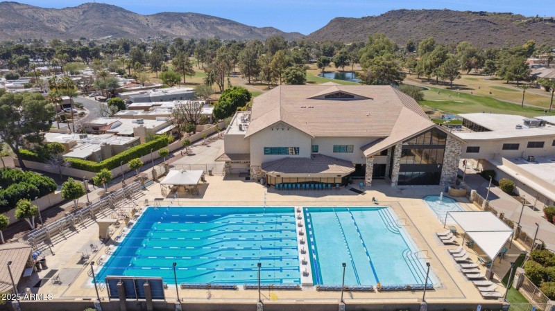 Swimming and socializing