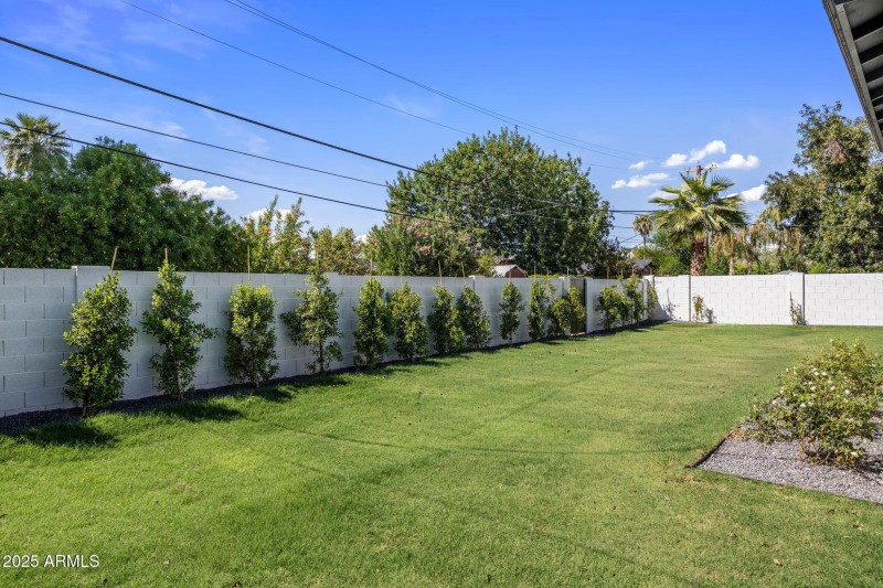 Backyard