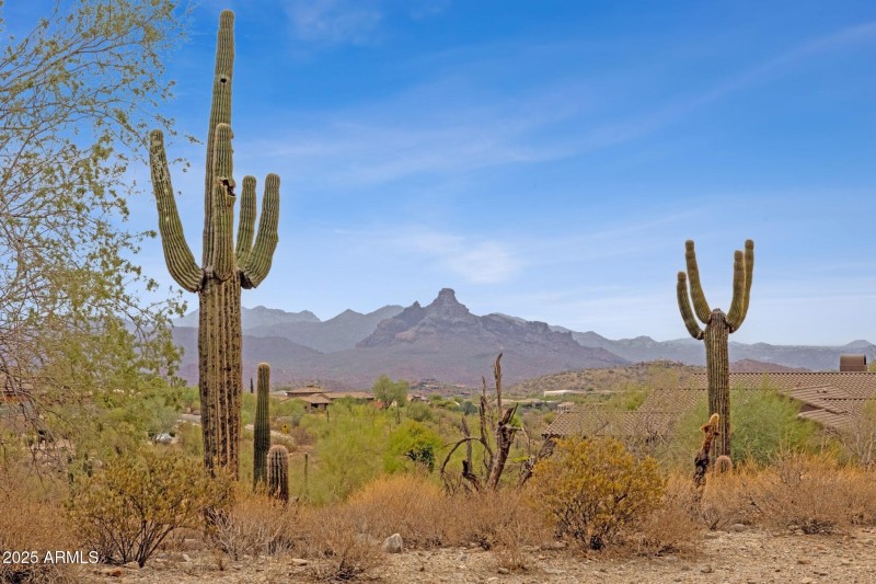 007_Mountain Views II