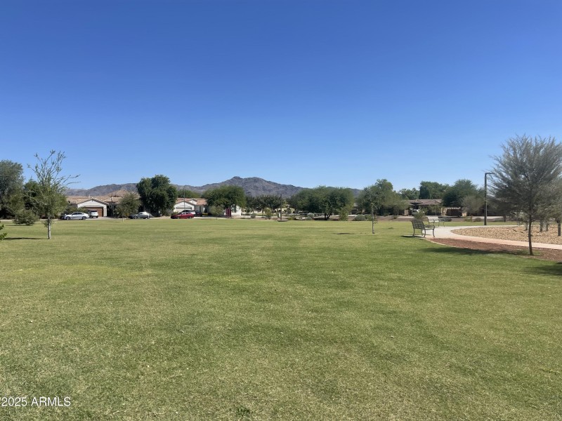 LUSH HARVEST PARK