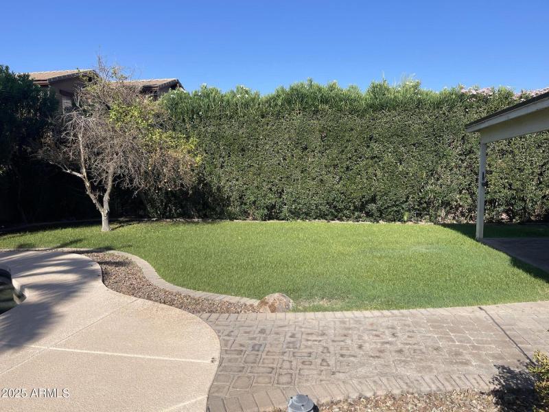 20250808_153854068_iOS