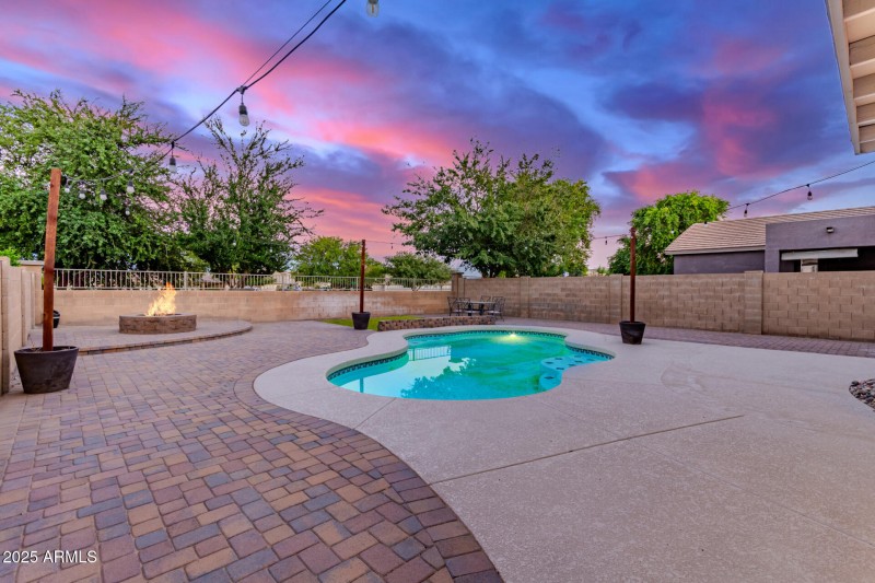 Amazing Backyard