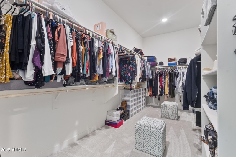 Primary Closet #1