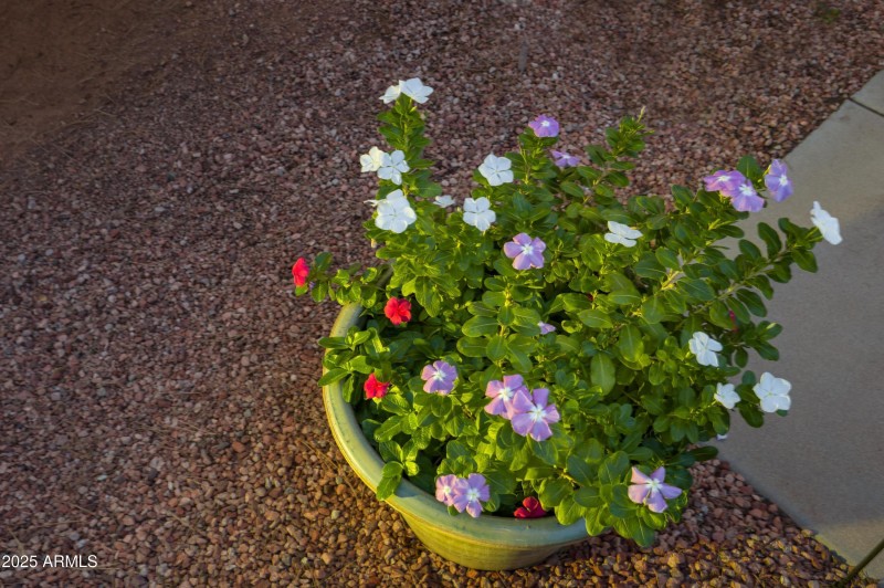 Good Morning Sedona!