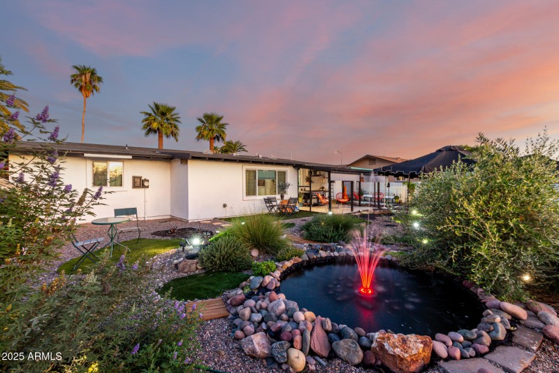 Amazing Backyard