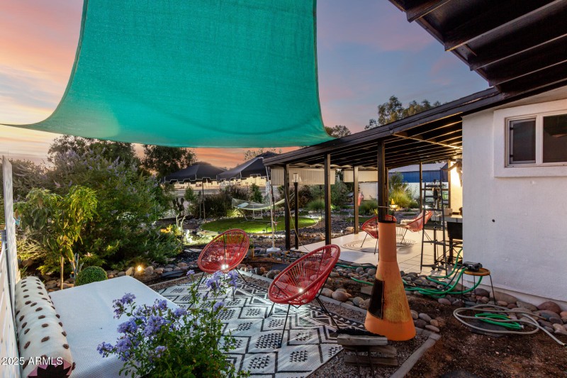 Backyard