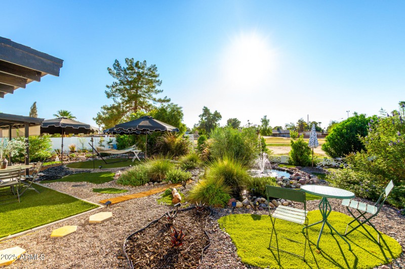 Backyard Oasis