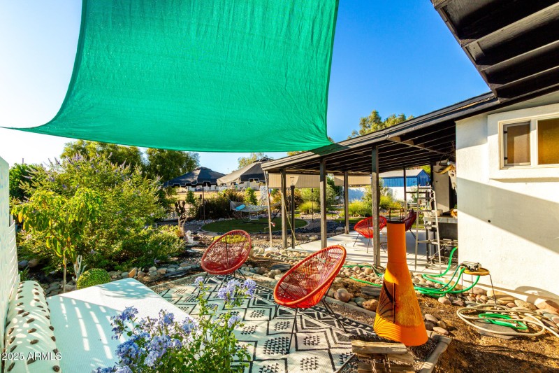 Backyard