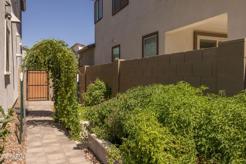 Side Yard