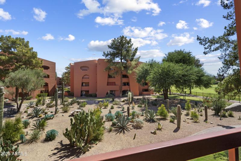 View of cactus garden from patio