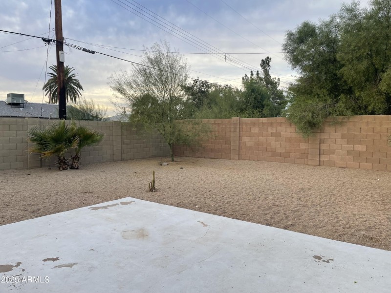 backyard2