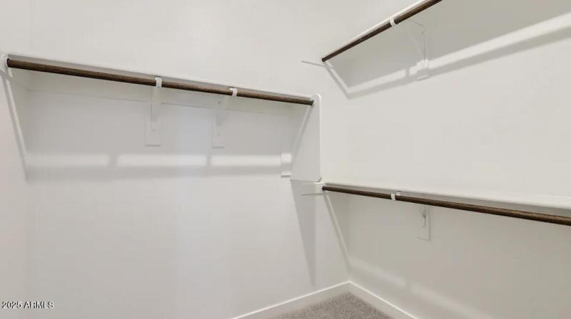 Owners Walk in Closet