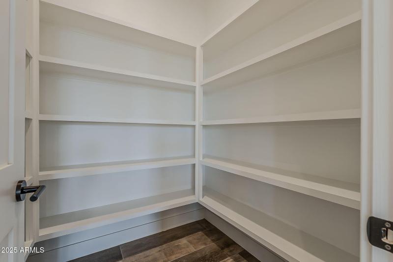 17-web-or-mls-Longhorn-17