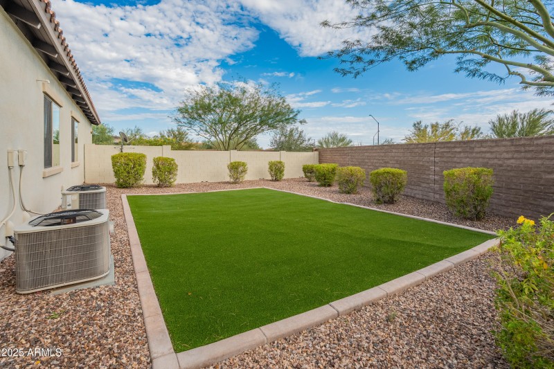 Back yard