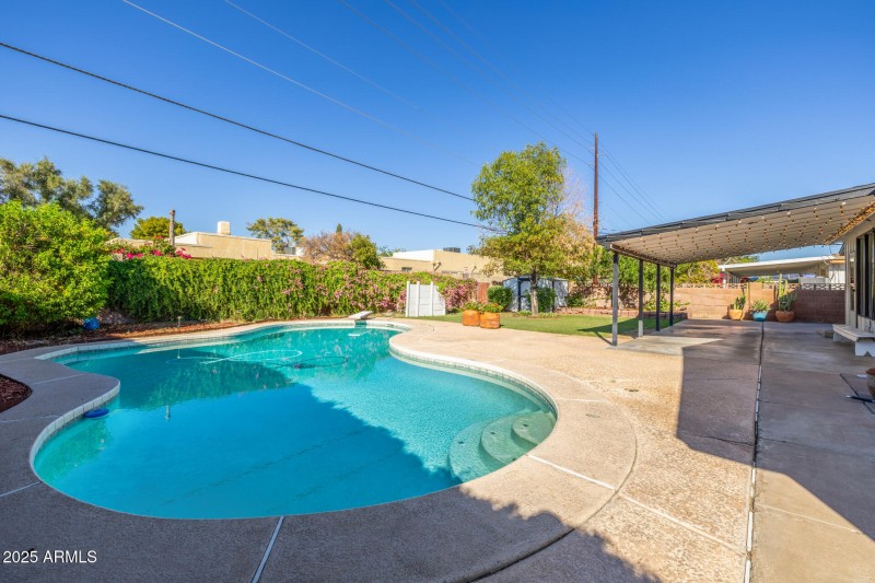 Backyard with diving pool