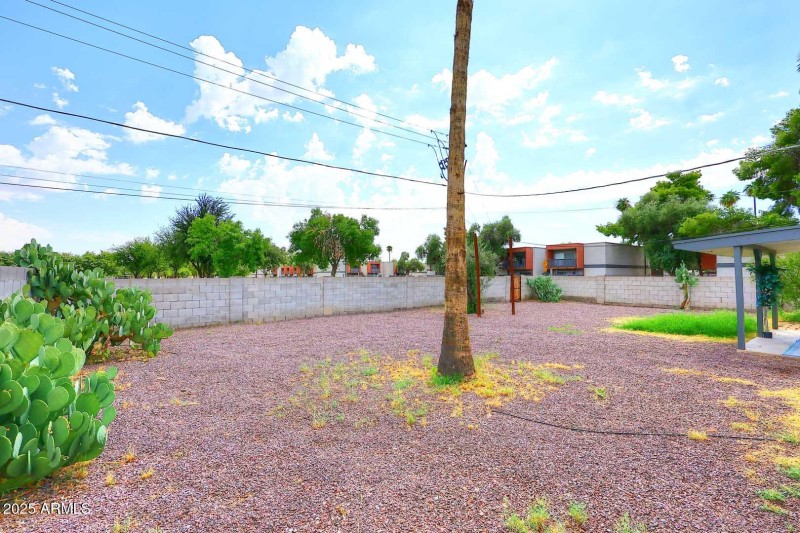 Backyard3