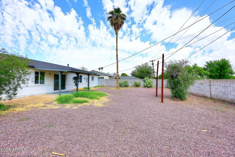 Backyard2