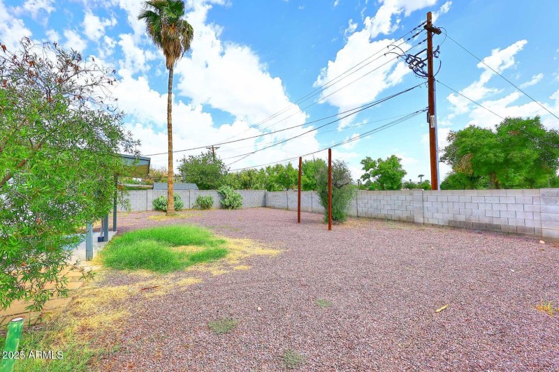 Backyard