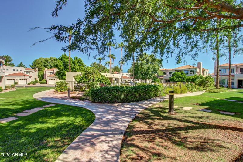 31 - Hayden 8270 #1030