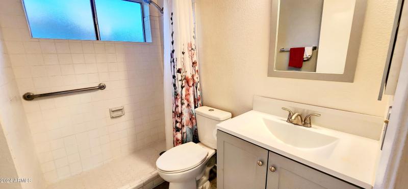 Lower level bathroom