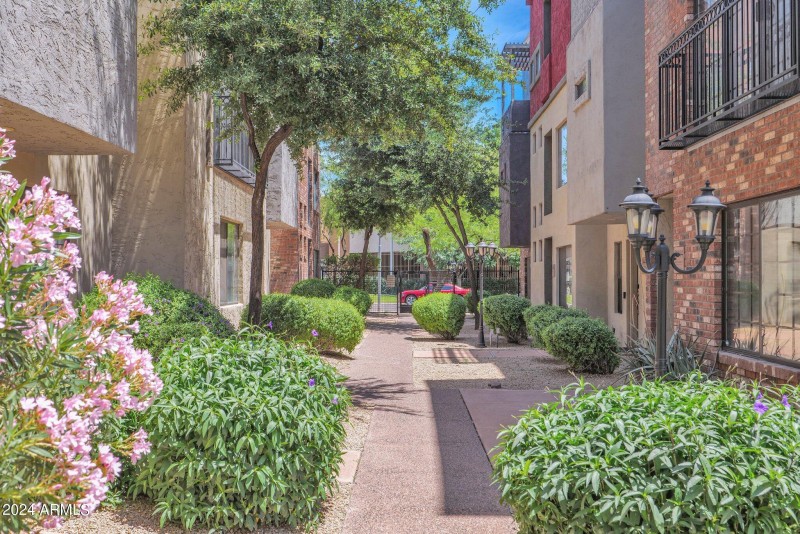 33-web-or-mls-P1028312