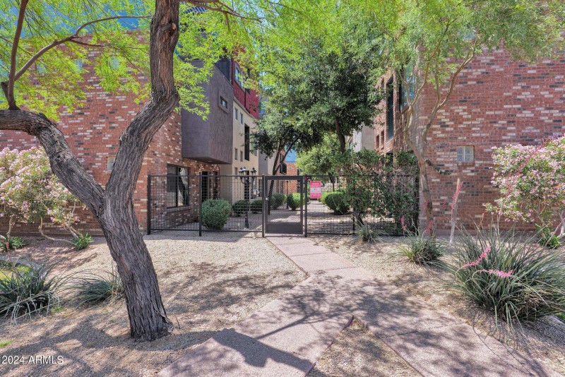 34-web-or-mls-P1028313