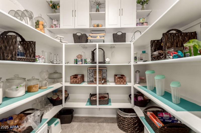 15 - Pampoloma 36371