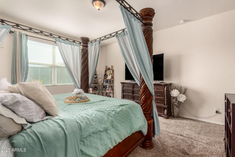 18 - Pampoloma 36371