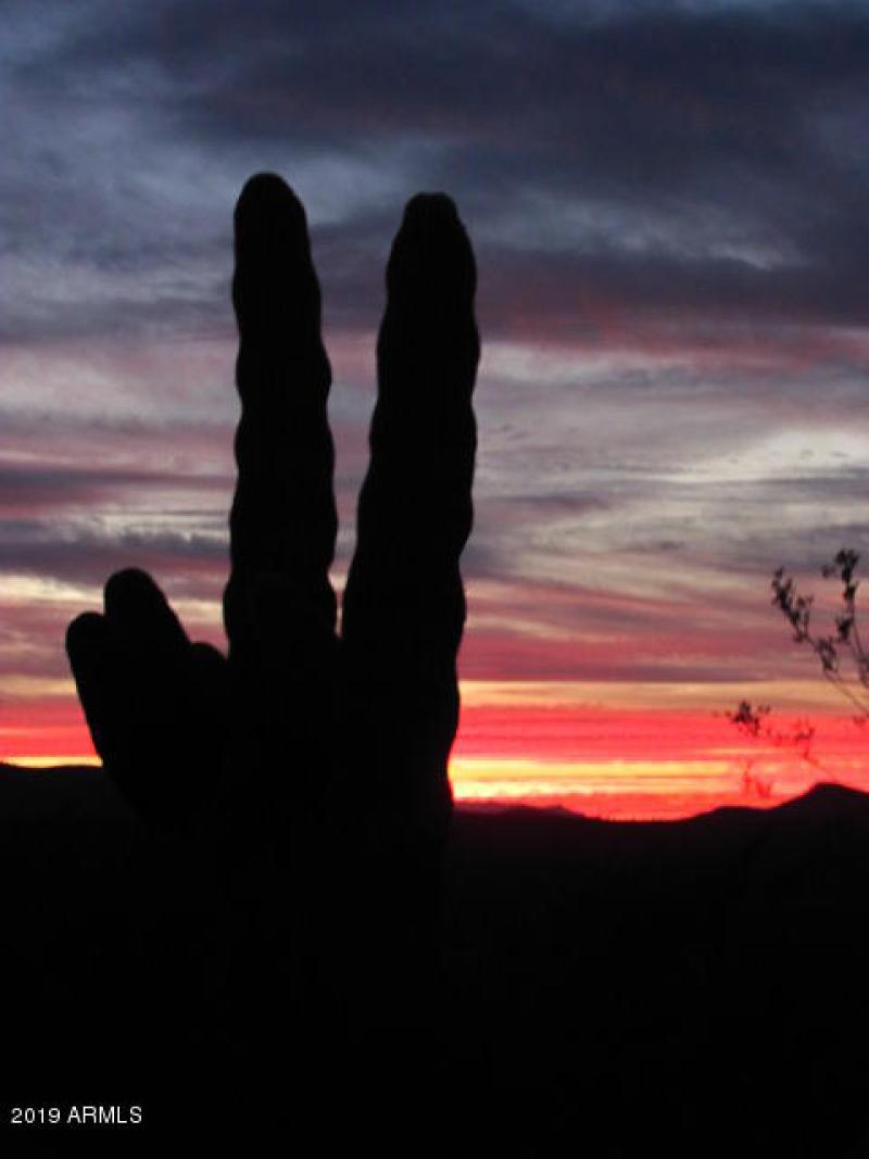 snow,graduation jody kids sunset 040