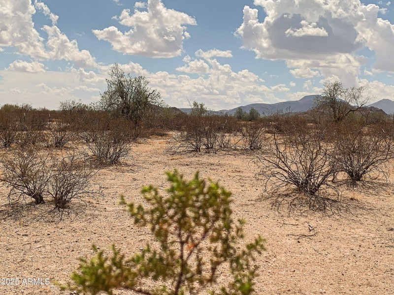 Get Away from the City Life!