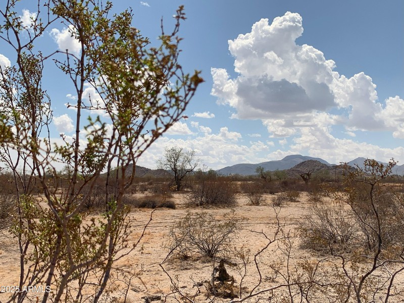 Come Home to the Country!