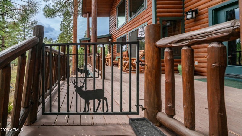 4218 Stargazer Dr Exterior Photos-12