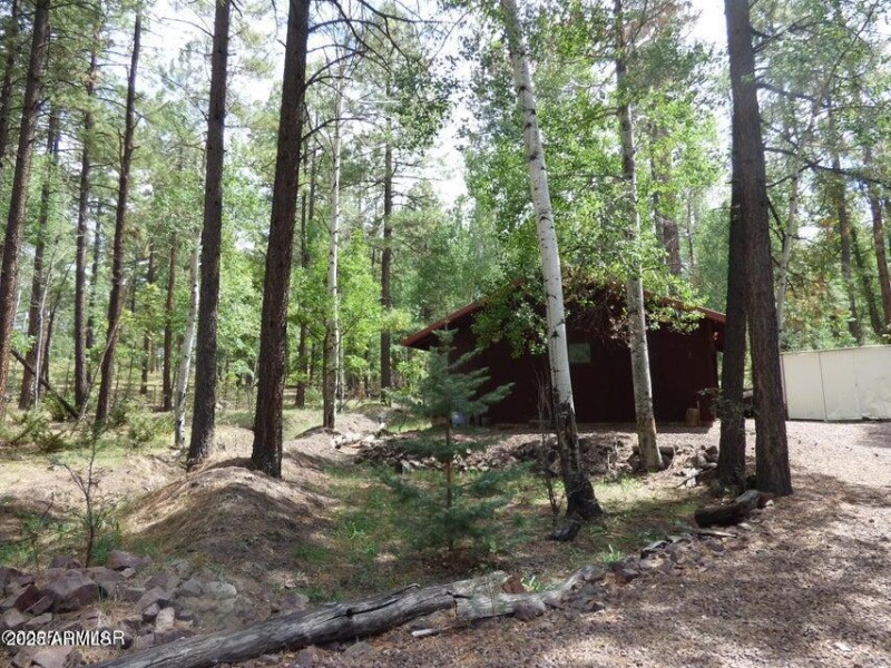 20250909062715131030000000-o