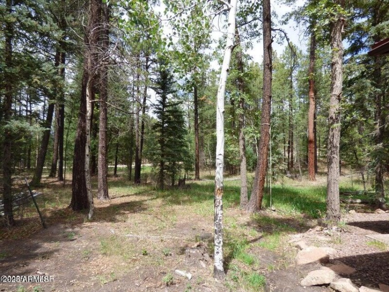 20250909062820212205000000-o